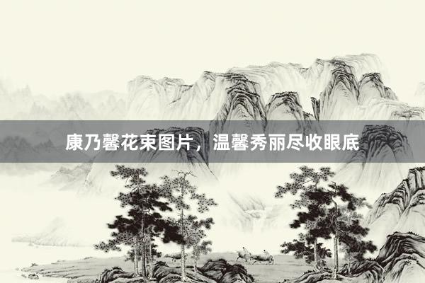康乃馨花束图片,温馨秀丽尽收眼底