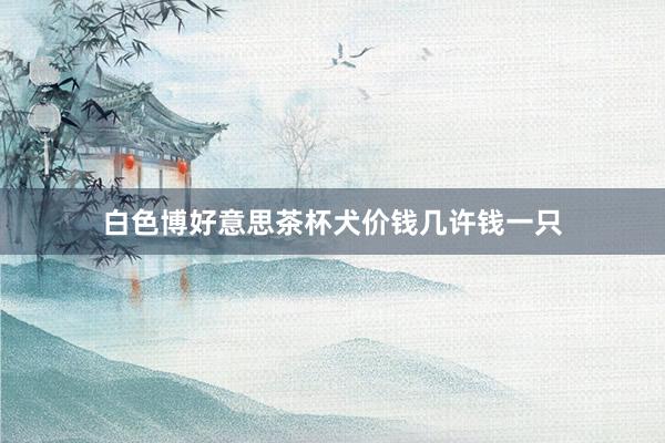 白色博好意思茶杯犬价钱几许钱一只
